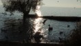 /album/paysage-d-ici/dscn6600-jpg/